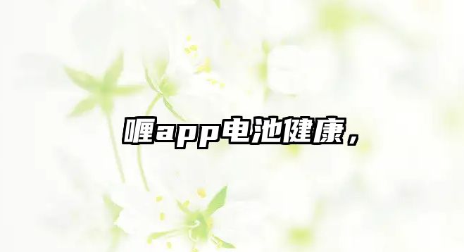 啫喱app電池健康，