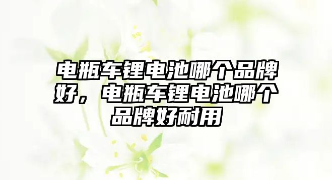 電瓶車鋰電池哪個(gè)品牌好，電瓶車鋰電池哪個(gè)品牌好耐用