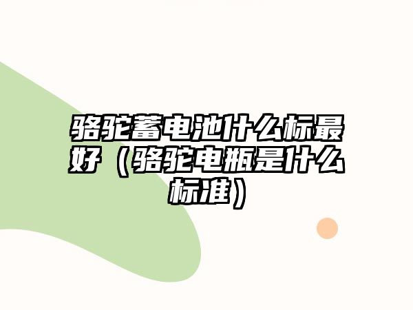 駱駝蓄電池什么標最好（駱駝電瓶是什么標準）