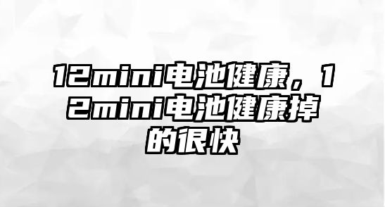 12mini電池健康，12mini電池健康掉的很快