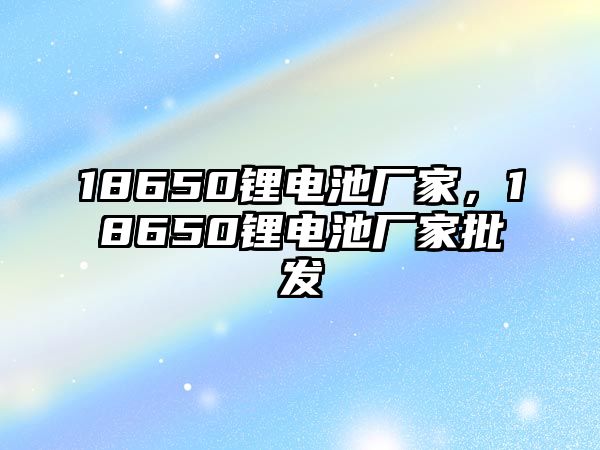 18650鋰電池廠家，18650鋰電池廠家批發(fā)