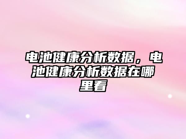 電池健康分析數據，電池健康分析數據在哪里看