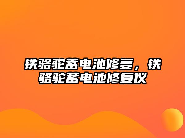 鐵駱駝蓄電池修復，鐵駱駝蓄電池修復儀