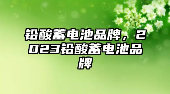 鉛酸蓄電池品牌，2023鉛酸蓄電池品牌