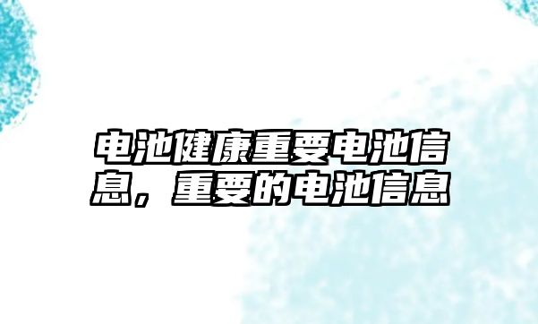 電池健康重要電池信息，重要的電池信息