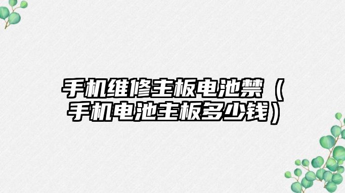 手機維修主板電池禁（手機電池主板多少錢）