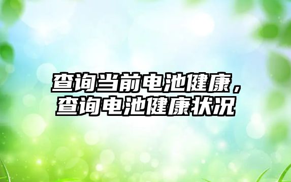 查詢當前電池健康，查詢電池健康狀況