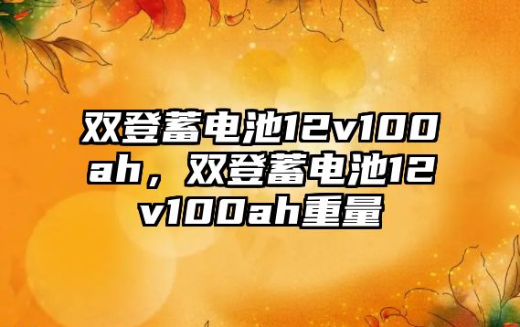 雙登蓄電池12v100ah，雙登蓄電池12v100ah重量