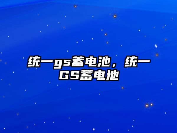 統(tǒng)一gs蓄電池，統(tǒng)一GS蓄電池