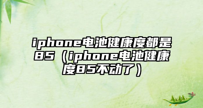 iphone電池健康度都是85（iphone電池健康度85不動了）