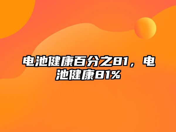 電池健康百分之81，電池健康81%