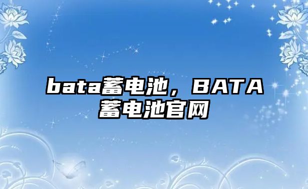 bata蓄電池，BATA蓄電池官網