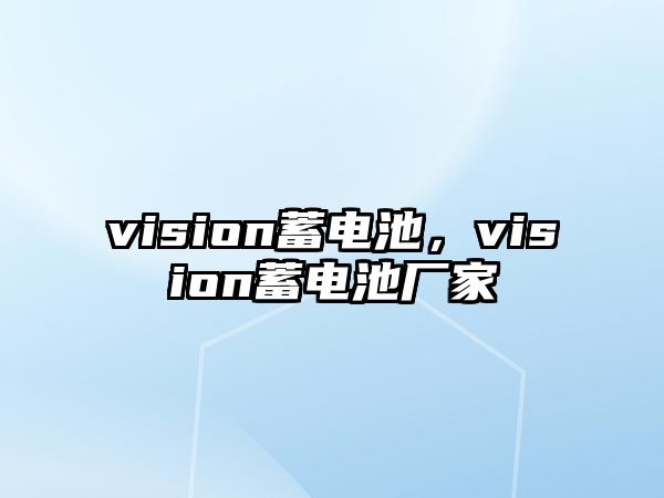 vision蓄電池，vision蓄電池廠家