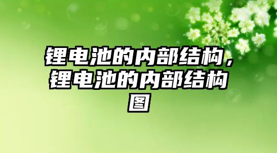 鋰電池的內部結構，鋰電池的內部結構圖