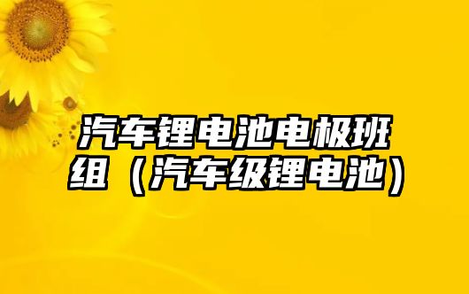 汽車鋰電池電極班組（汽車級鋰電池）