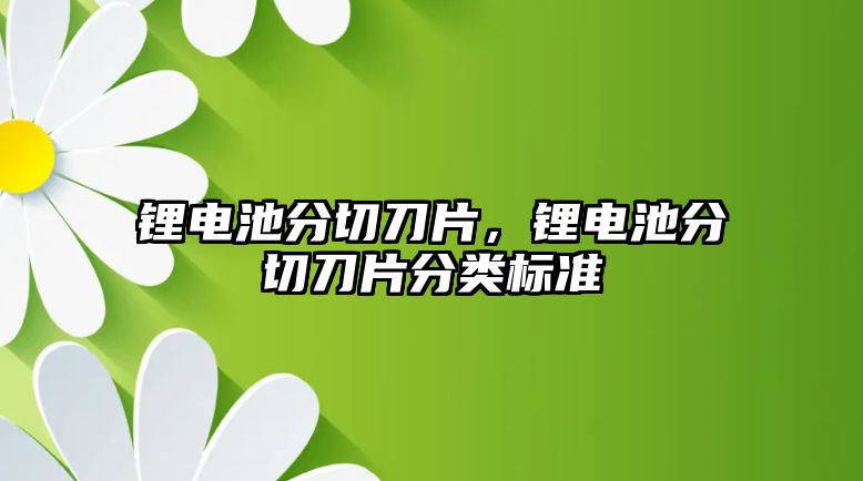 鋰電池分切刀片，鋰電池分切刀片分類標準