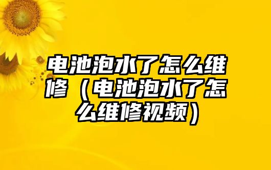 電池泡水了怎么維修（電池泡水了怎么維修視頻）