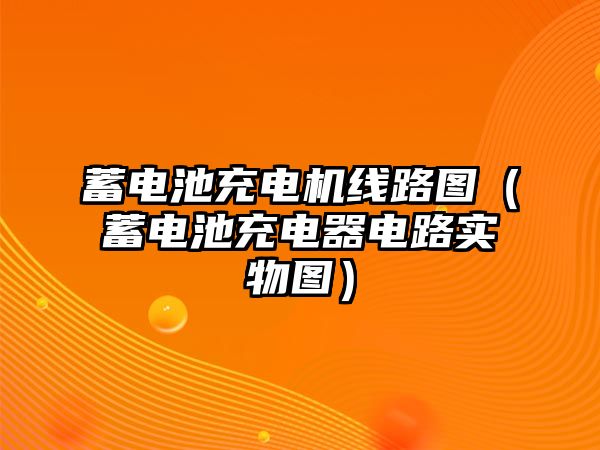 蓄電池充電機線路圖（蓄電池充電器電路實物圖）