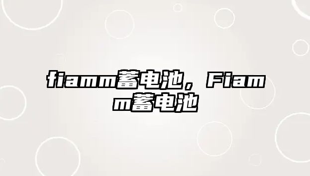 fiamm蓄電池，Fiamm蓄電池