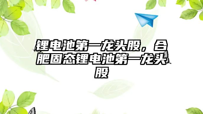 鋰電池第一龍頭股，合肥固態鋰電池第一龍頭股