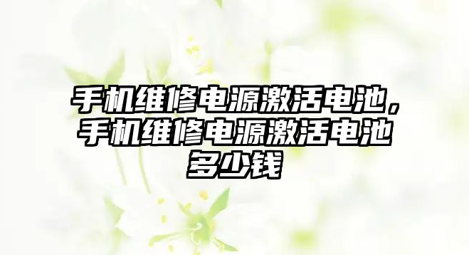 手機維修電源激活電池，手機維修電源激活電池多少錢