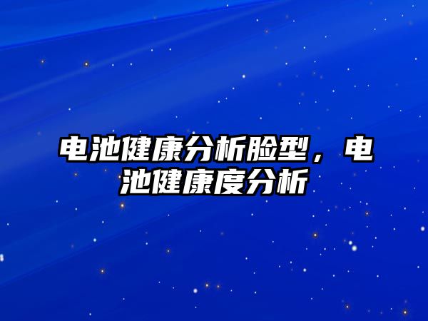 電池健康分析臉型，電池健康度分析