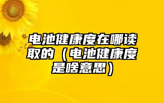 電池健康度在哪讀取的（電池健康度是啥意思）