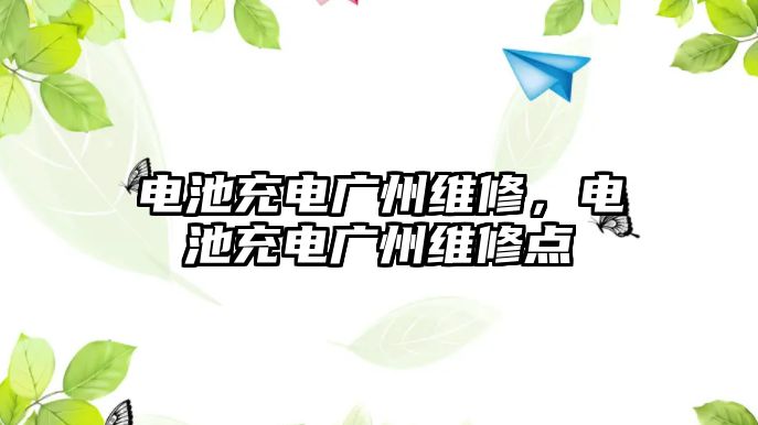 電池充電廣州維修，電池充電廣州維修點