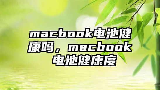 macbook電池健康嗎，macbook 電池健康度