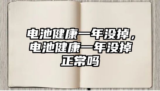 電池健康一年沒掉，電池健康一年沒掉正常嗎