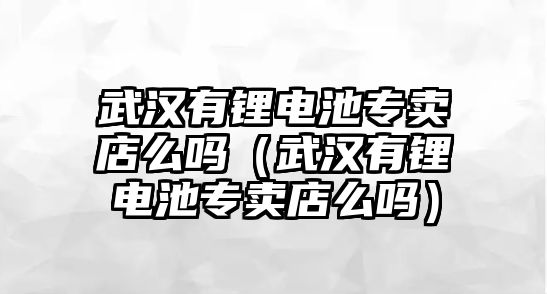 武漢有鋰電池專賣店么嗎（武漢有鋰電池專賣店么嗎）