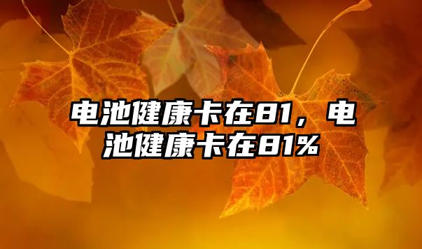 電池健康卡在81，電池健康卡在81%