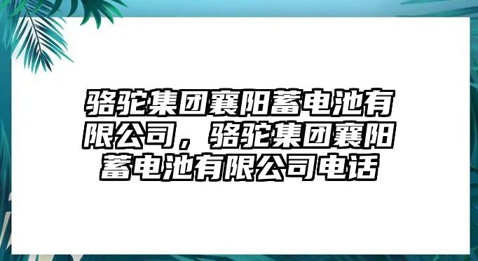 駱駝集團襄陽蓄電池有限公司，駱駝集團襄陽蓄電池有限公司電話