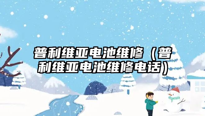 普利維亞電池維修（普利維亞電池維修電話）