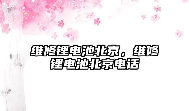 維修鋰電池北京，維修鋰電池北京電話