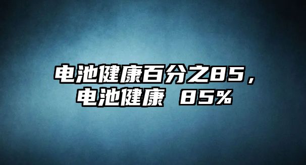 電池健康百分之85，電池健康 85%