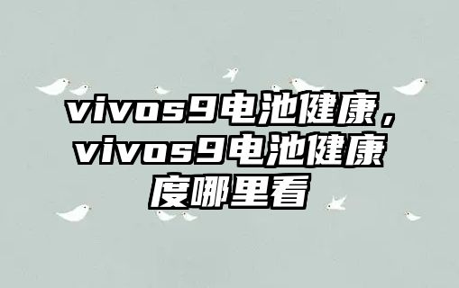 vivos9電池健康，vivos9電池健康度哪里看