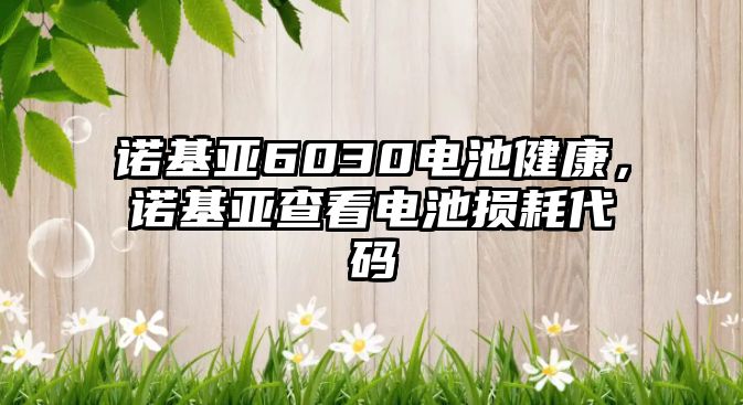 諾基亞6030電池健康，諾基亞查看電池?fù)p耗代碼