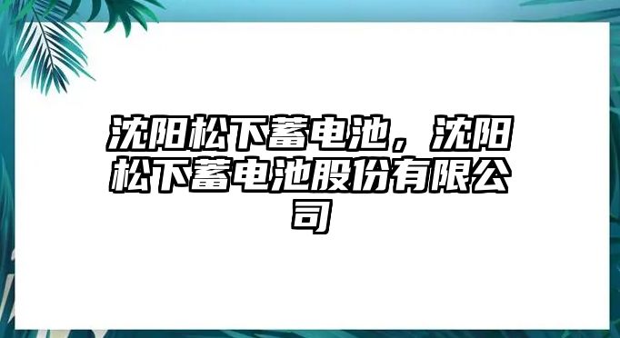 沈陽松下蓄電池，沈陽松下蓄電池股份有限公司