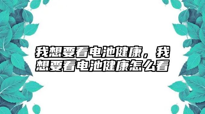 我想要看電池健康，我想要看電池健康怎么看