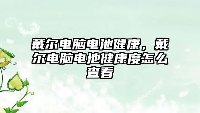 戴爾電腦電池健康，戴爾電腦電池健康度怎么查看