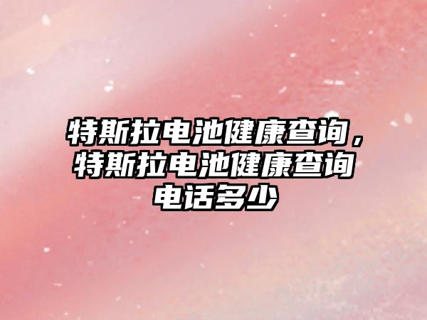 特斯拉電池健康查詢，特斯拉電池健康查詢電話多少