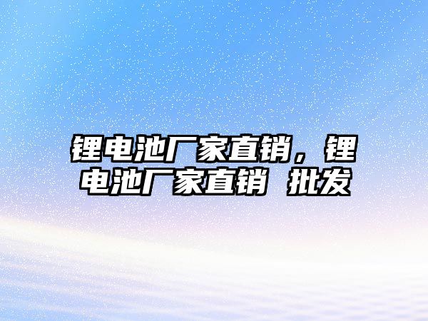 鋰電池廠家直銷，鋰電池廠家直銷 批發(fā)