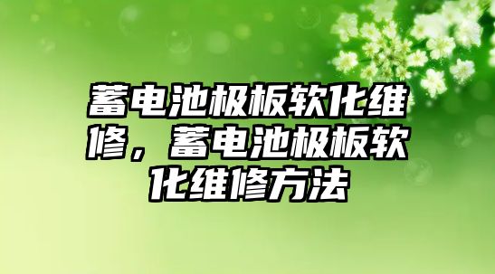 蓄電池極板軟化維修，蓄電池極板軟化維修方法