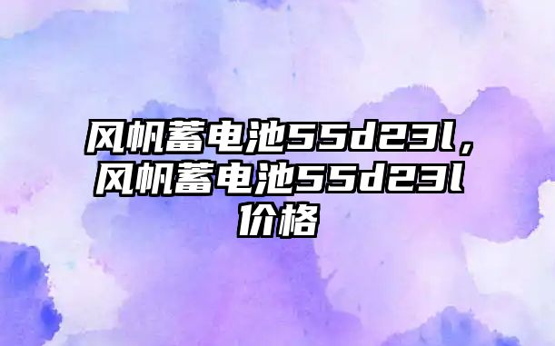 風帆蓄電池55d23l，風帆蓄電池55d23l價格