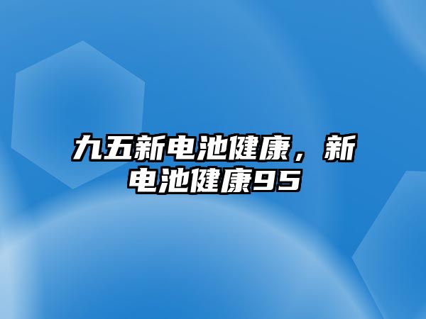 九五新電池健康，新電池健康95