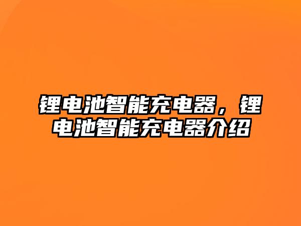 鋰電池智能充電器，鋰電池智能充電器介紹