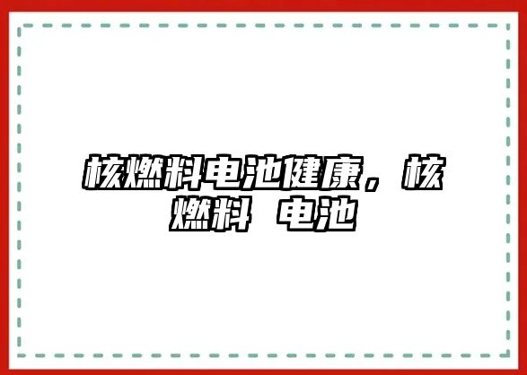 核燃料電池健康，核燃料 電池