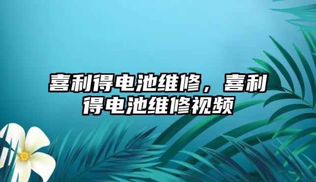 喜利得電池維修，喜利得電池維修視頻