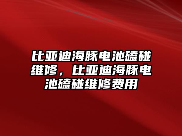 比亞迪海豚電池磕碰維修，比亞迪海豚電池磕碰維修費用